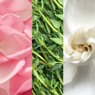 Facial Spray with Aloe, Herbs & Rosewater - Spray visage à l'aloe vera, plantes aromatiques et eau de rose