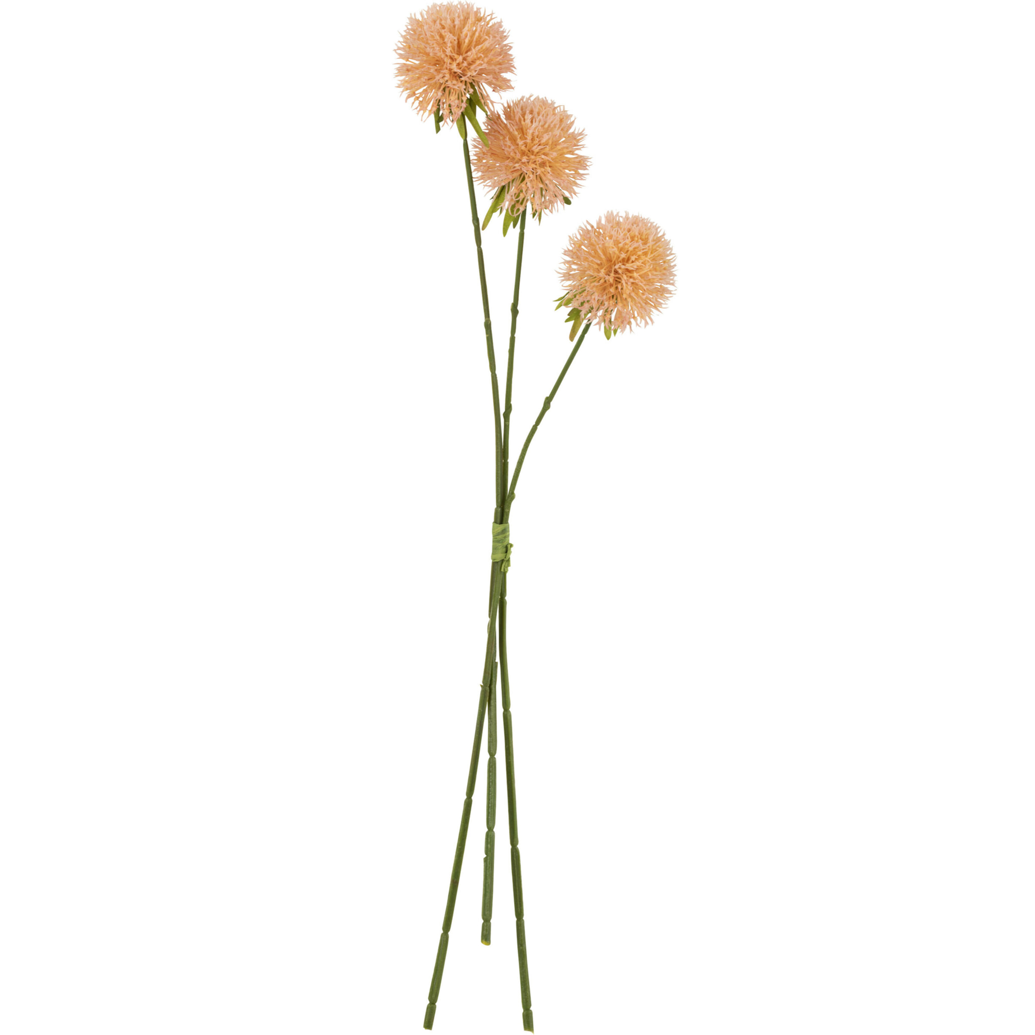 J-Line fleur Allium 3 Pieces - plastique - rose/pêche - large - 12 pièces