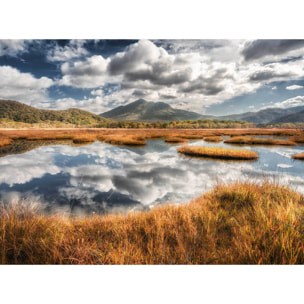 Papier peint lac et miroir Intissé