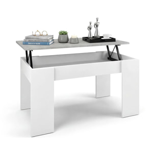 Mesa de centro elevable con almacenaje en blanco artik y gris cemento 90x43-53 cm Norak Blanco Artik (Blanco Mate) - Gris Cemento