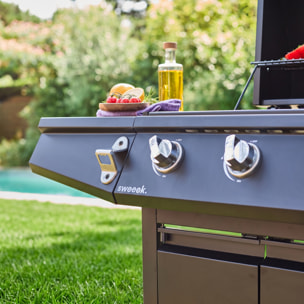 Barbecue gaz 3 brûleurs + 1 feu latéral avec roues, tablettes et thermomètre TREVILLE 3
