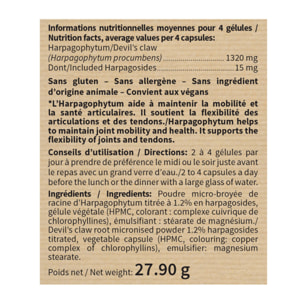 NUTRI EXPERT - Harpagophytum - Favorise la mobilité articulaire - Améliore la flexibilité des articulations et yendons - Soulage les douleurs articulaires - Végan - Lot de 2 produits