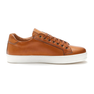 Sneaker British Passport marrone tan