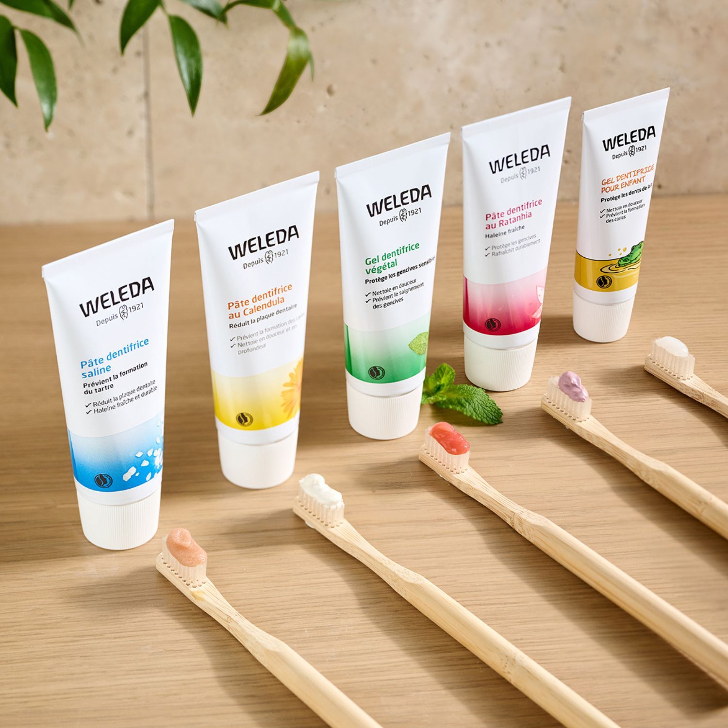 WELEDA - Pâte dentifrice au Calendula - 75 ml