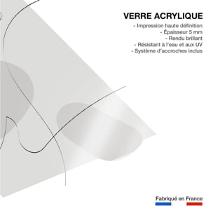 Tableau contemporain forme et autographe Tableau plexiglas