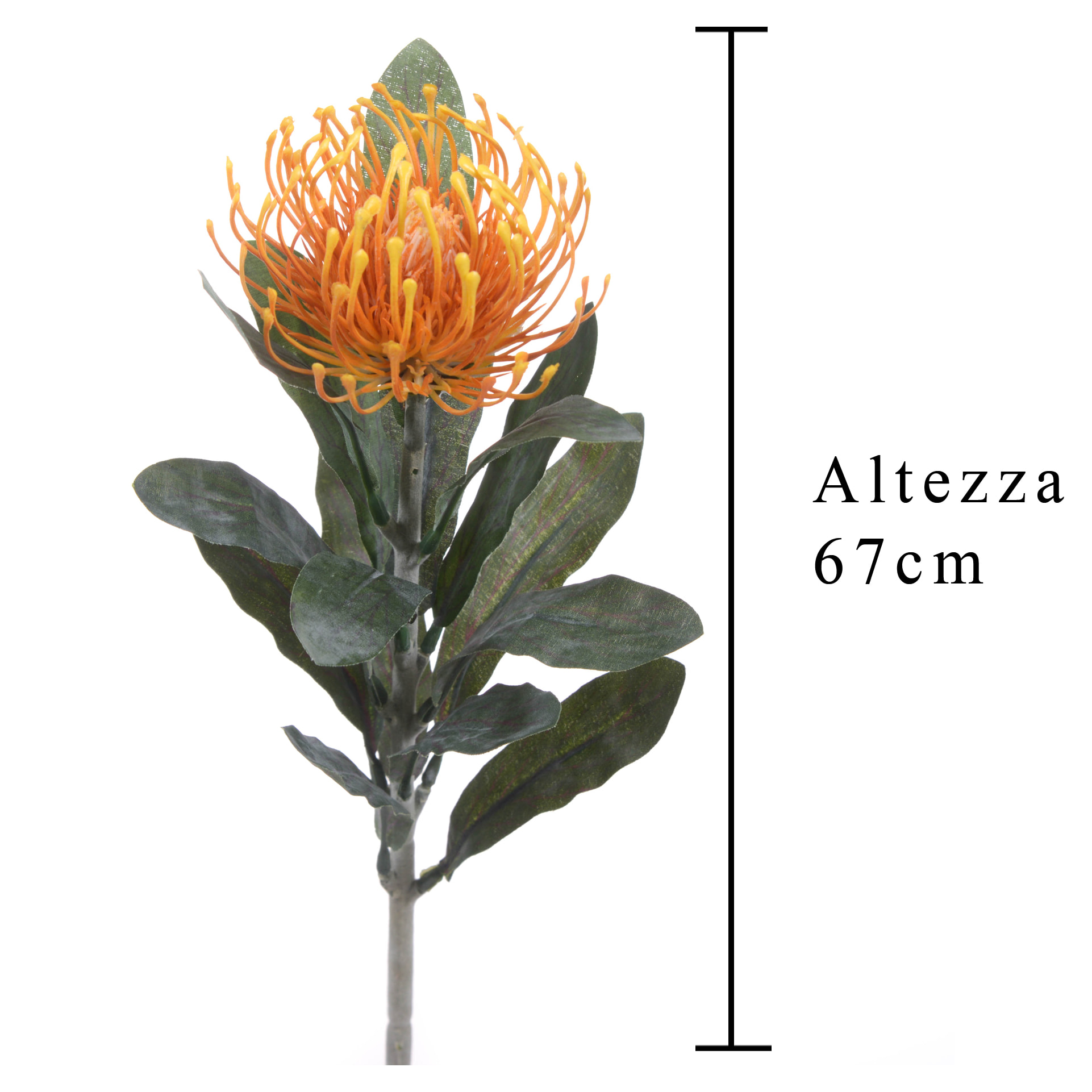 Fiore Di Protea Composto Da 14 Foglie. Altezza 67 Cm - Pezzi 12 - 8X67X8cm - Colore: Arancio - Bianchi Dino - Fiori Artificiali