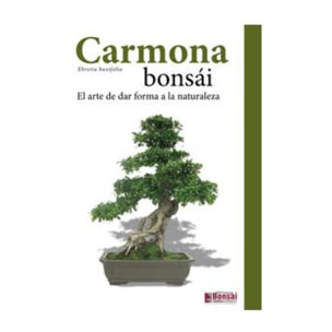 Guía Carmona bonsái
