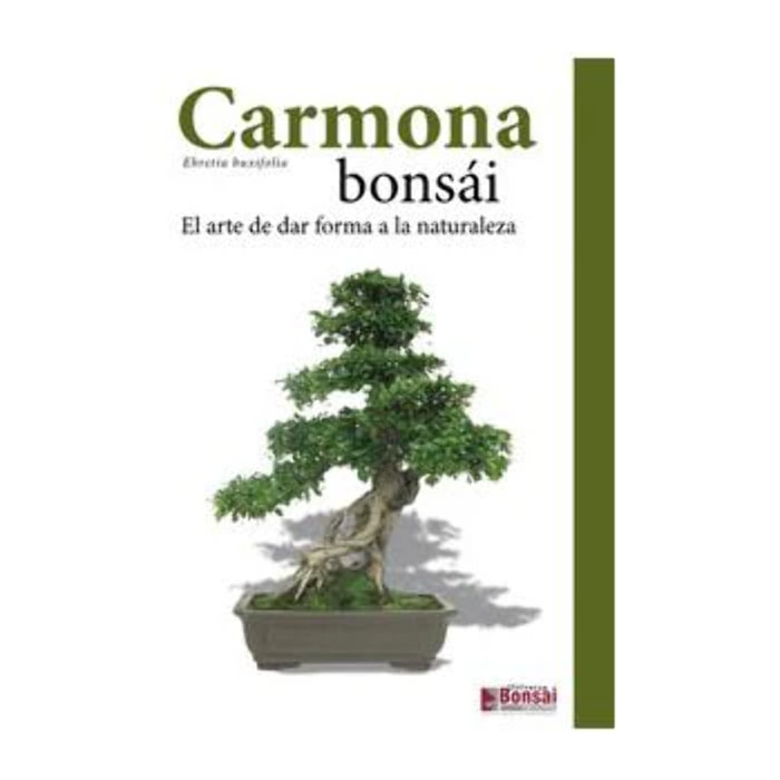 Guía Carmona bonsái