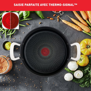 Faitout TEFAL Unlimited Premium diam24cm