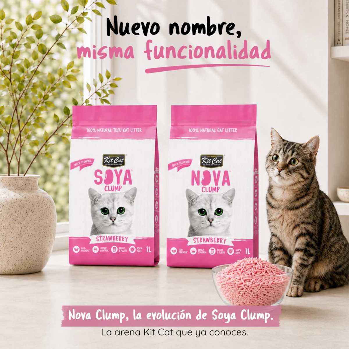 Kit Cat Arena Eco Nova - Strawberry 7 L Arena para gatos