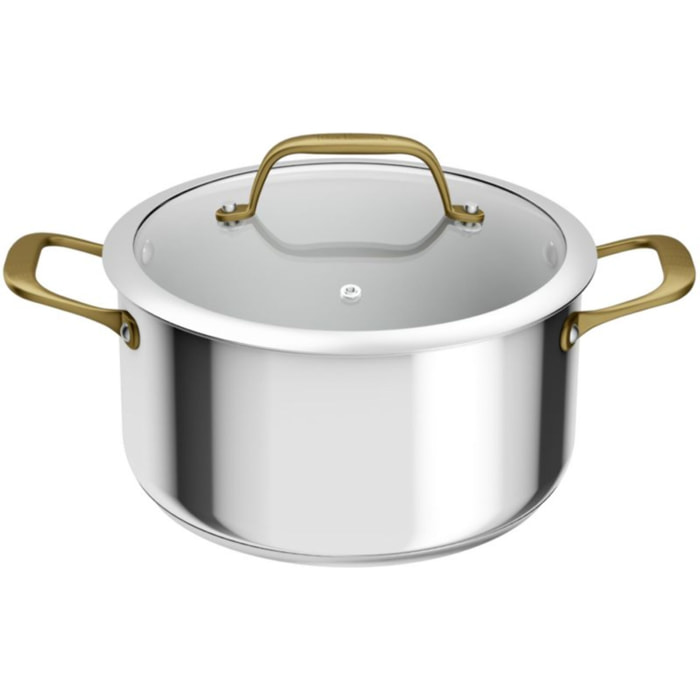 Faitout TEFAL 24cm Edition Bocuse