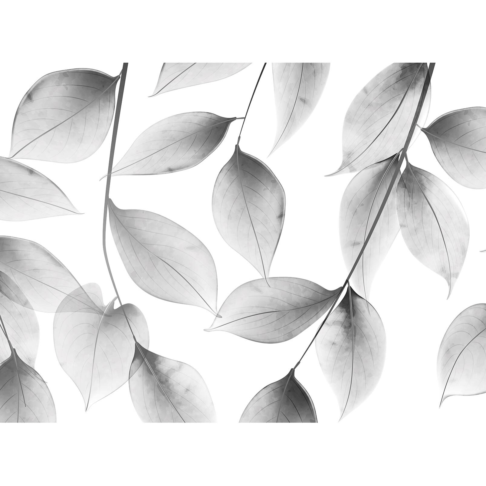 Papier peint panoramique Végétal argentique  Intissé