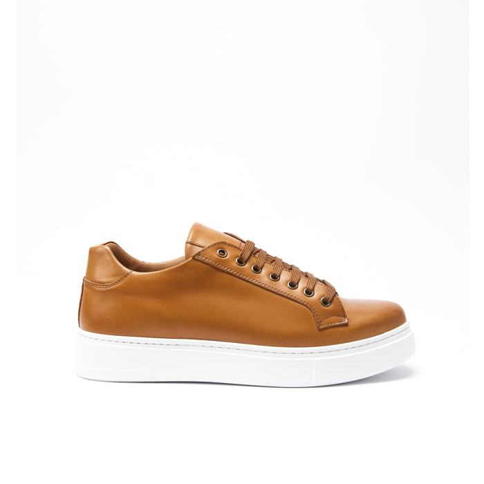 Classic Lace-up Sneaker British Passport Marrone