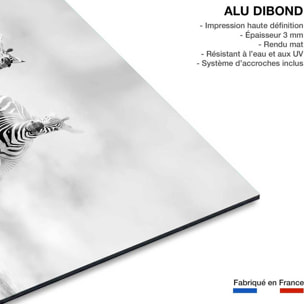Tableau animaux racing stripes Tableau alu Dibond