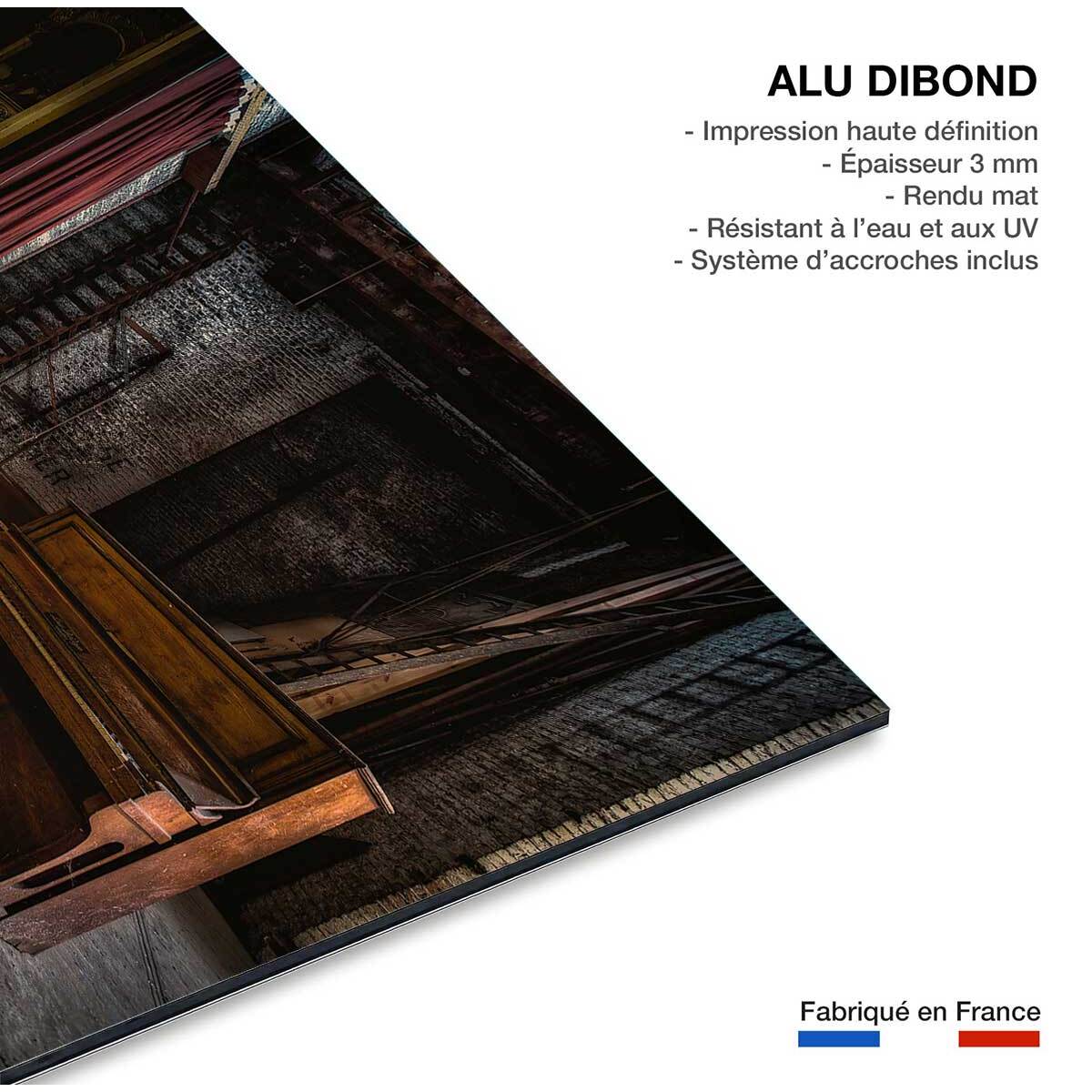 Tableau show interrompu Tableau alu Dibond