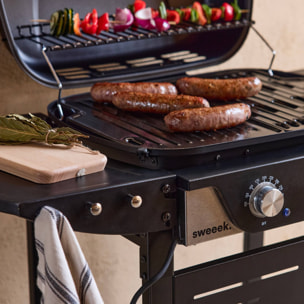 Barbecue électrique noir 2 brûleurs. acier émaillé 2300 W. L 100 x P 61 x H 121.5 cm