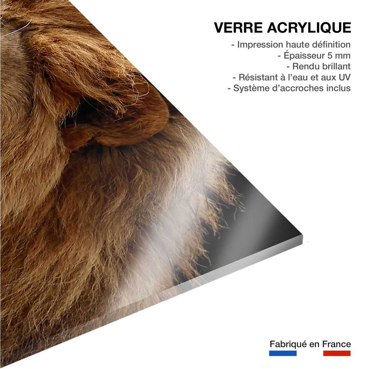 Tableau lion Tableau plexiglas