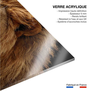 Tableau lion Tableau plexiglas
