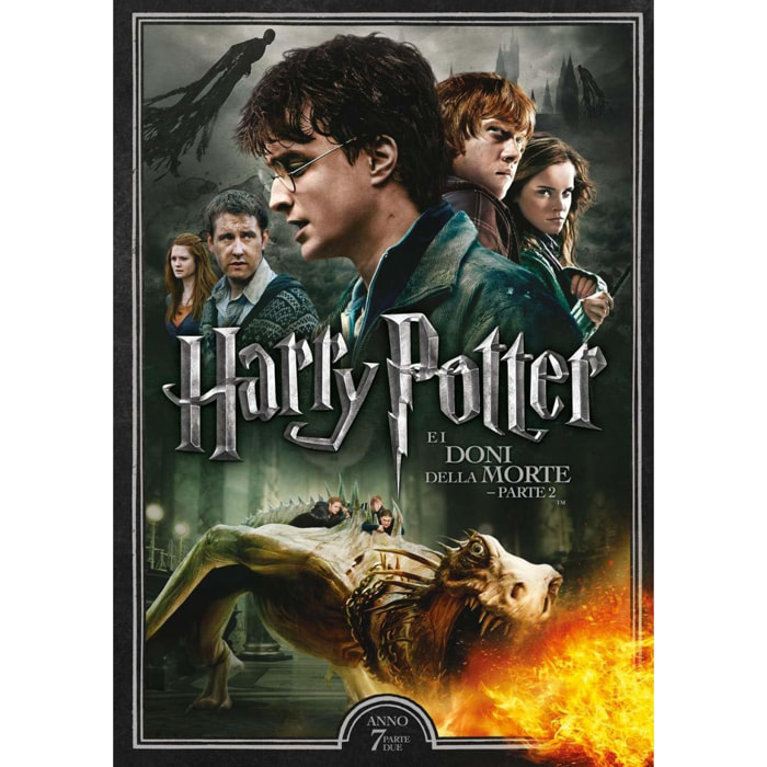 Harry Potter e I Doni della Morte - Parte 2 DVD Warner Bros.