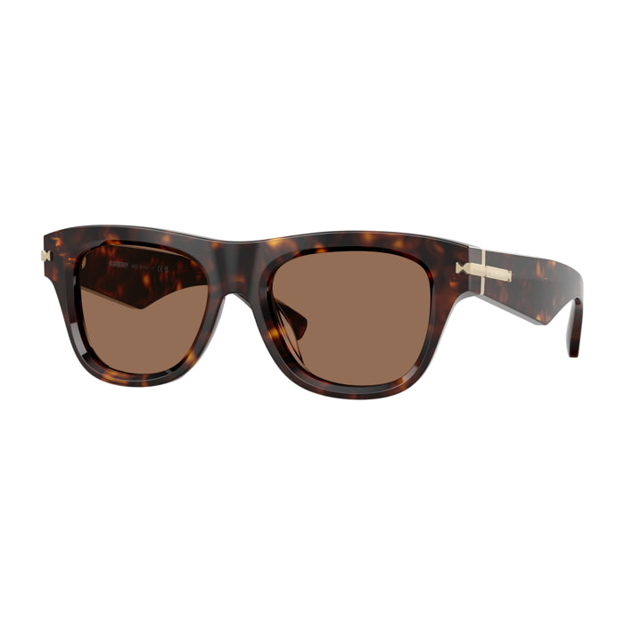 Gafas de sol Burberry Hombre BE4438U-300273