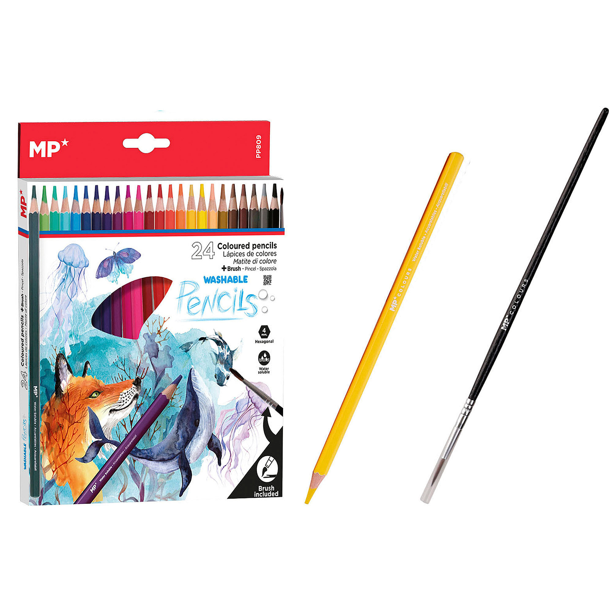 LÁPICES DE COLORES ACUARELABLES 24 Uds.