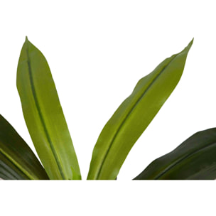 Planta Dracaena Fragrans Con Maceta 55x55x55 Cm