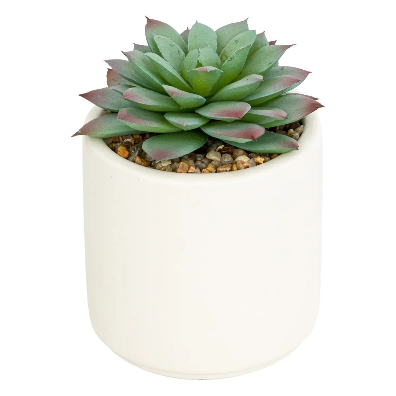 Plante grasse artificielle Nils pot céramique H12cm