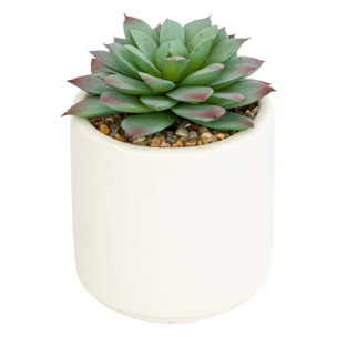 Plante grasse artificielle Nils pot céramique H12cm