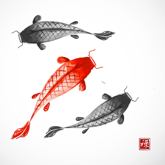 Tableau dessin carpes koï Tableau alu Dibond