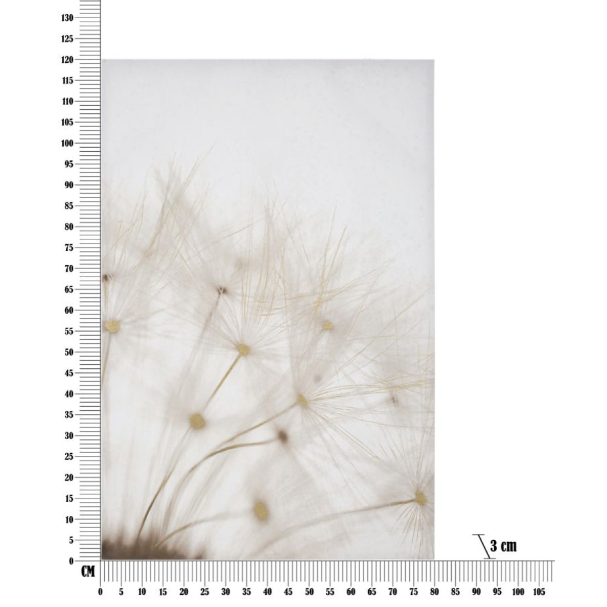 STAMPA DIPINTA TIN CM 80X3X120