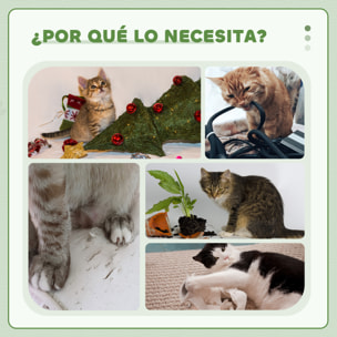 Árbol Rascador para Gatos, Árbol para Gatos 126 cm, Torre Escalador con Plataformas, Hamaca, Cueva, Cama, Postes de Sisal, Bolas y Cojines Lavables, Gris