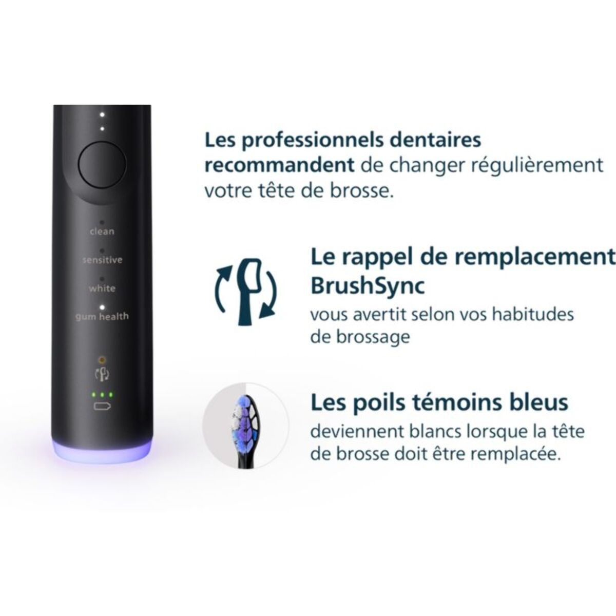 Brossette dentaire PHILIPS S2  4 pack noire HX6054/88