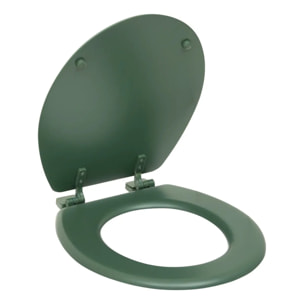 Abattant WC Colorama 36x48cm vert ficu
