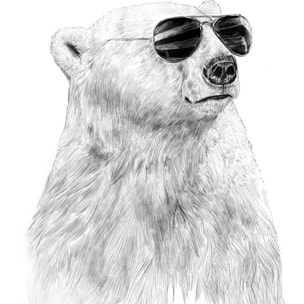 Affiche enfant ours polaire et lunette  Affiche + cadre en bois - Chêne