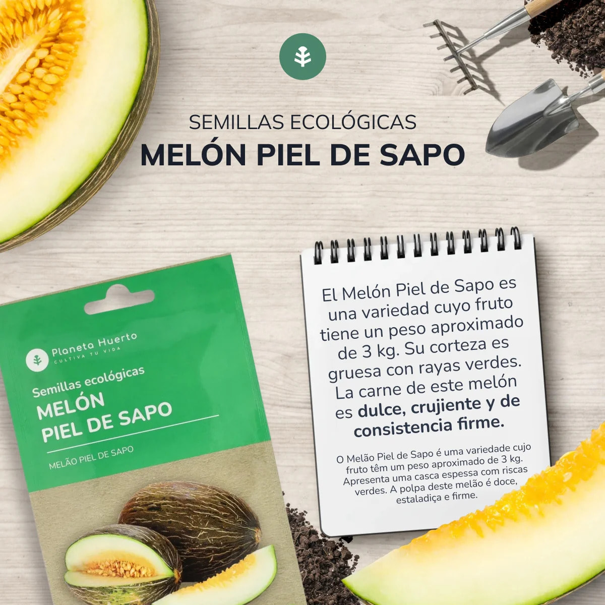 Semillas de Melón piel de sapo ecológicas Planeta Huerto