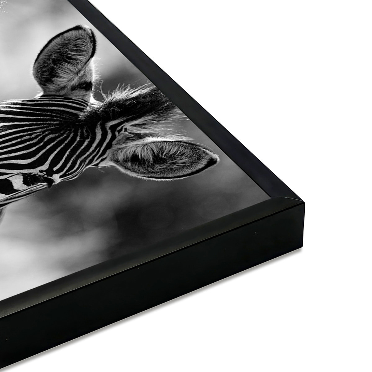 Affiche encadrée zèbres en noir et blanc Affiche + cadre en métal - Noir