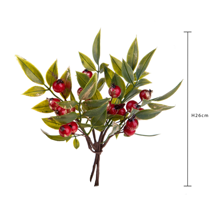 Pick ruscus per - Pezzi 12 - 17xH16x6cm - Bianchi Dino SpA