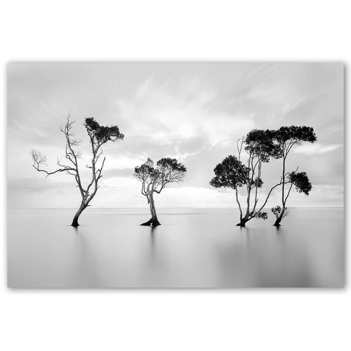 Tableau paysage La décrue Tableau alu Dibond