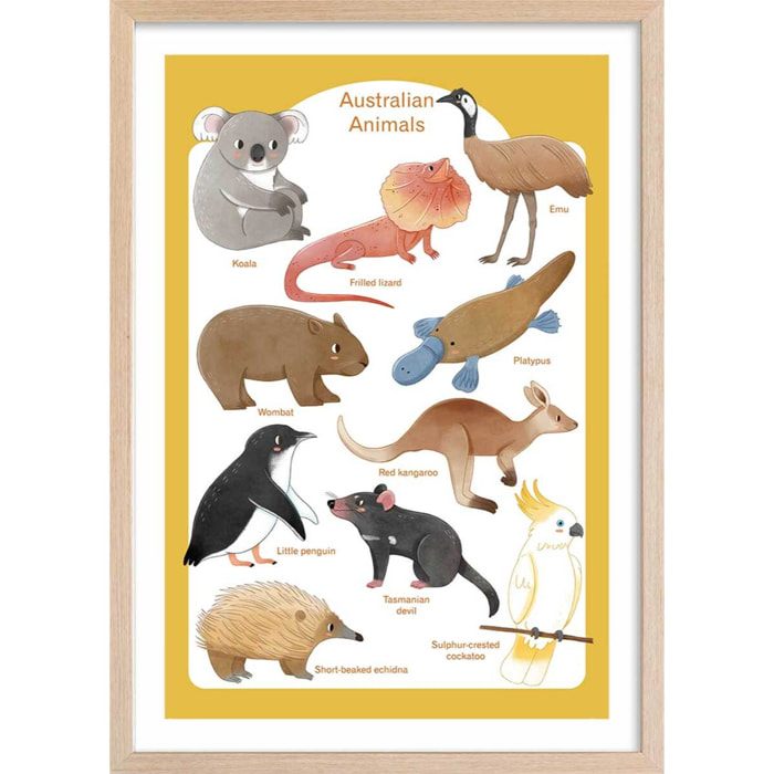 Affiche enfant animaux d' australie  Affiche + cadre en bois - Chêne