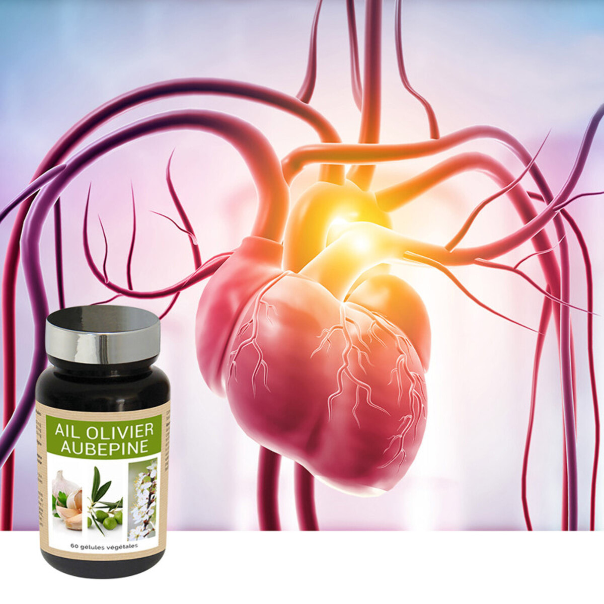 NUTRI EXPERT - Ail Olivier Aubépine - Aide à maîtriser taux de cholestérol et la santé cardiovasculaire - Maintient l'équilibre de la pression artérielle - Cure 30j - Gélules végétales - Lot de 2