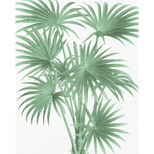 Poster Summer en papier 40 x 50 cm