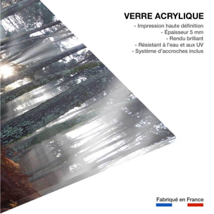 Tableau brume landaise Tableau plexiglas