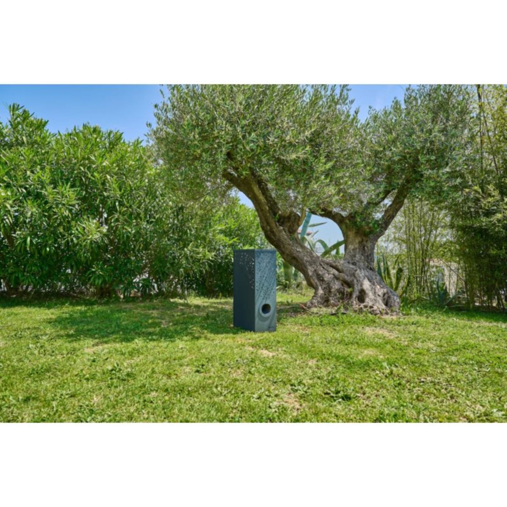 Appareil anti moustique WILIV piège Willo Standard