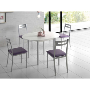 Mesa extensible circular