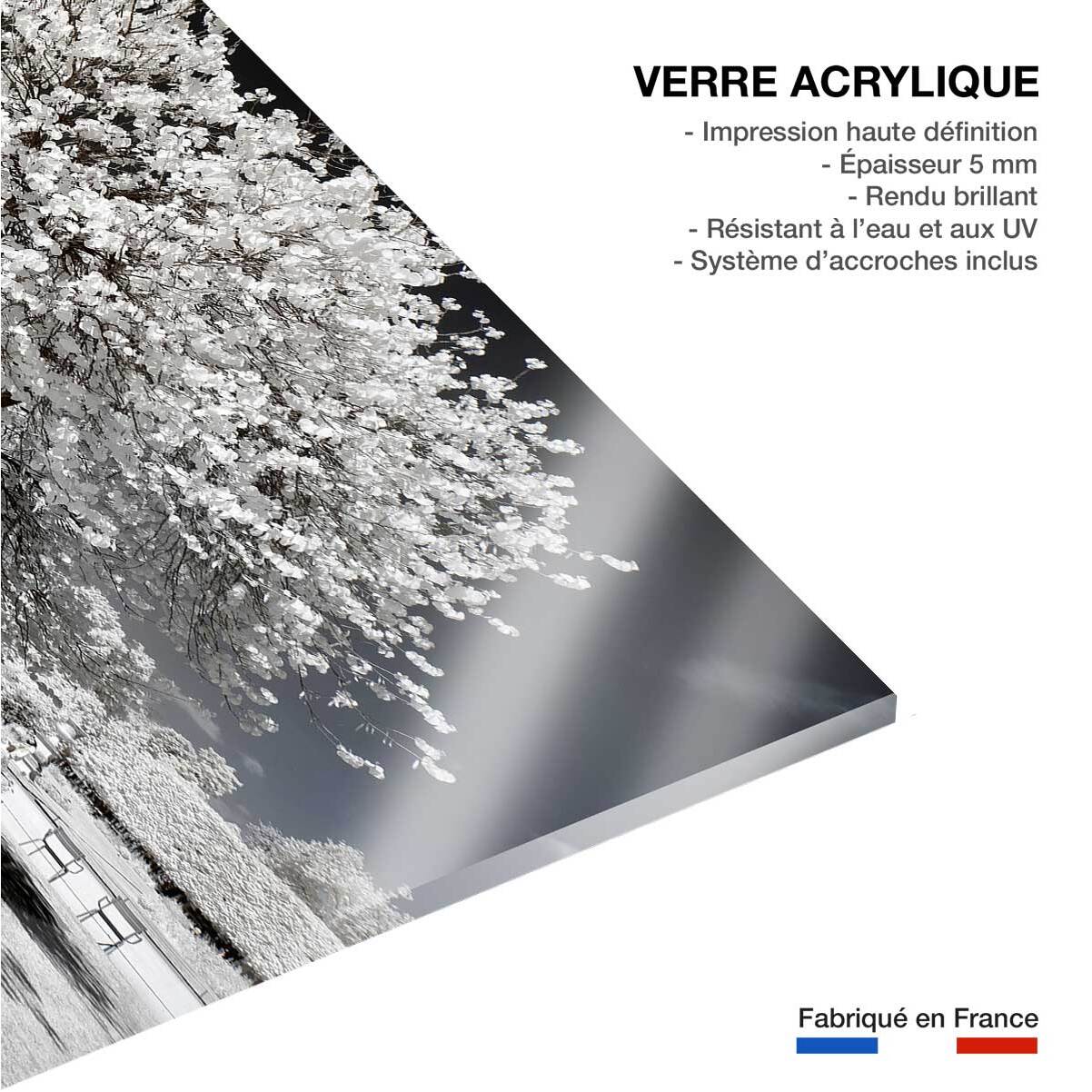 Tableau paris jardin blanc comme neige  Tableau plexiglas