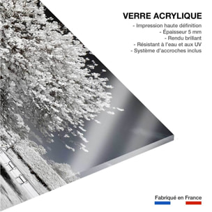 Tableau paris jardin blanc comme neige  Tableau plexiglas