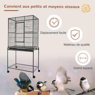 Cage à oiseaux portable avec 4 mangeoires et 4 perchoirs pratique 81 x 48 x 162 cm noir et gris