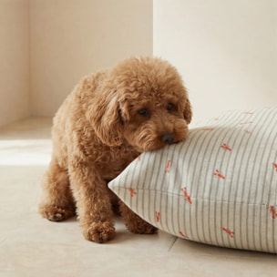 Housse antitaches pour lit pour animal Milu