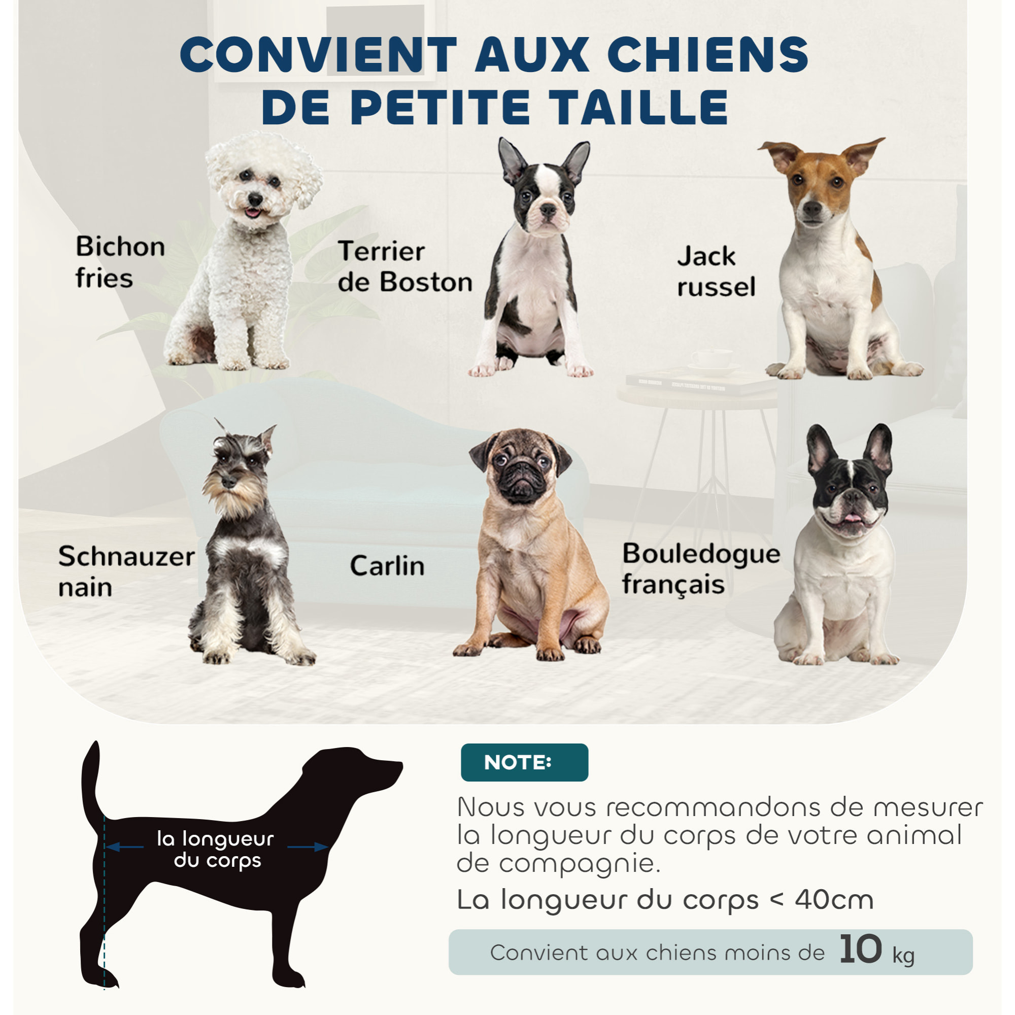 Canapé chien design méridienne - coffre rangement intégré - velours vert