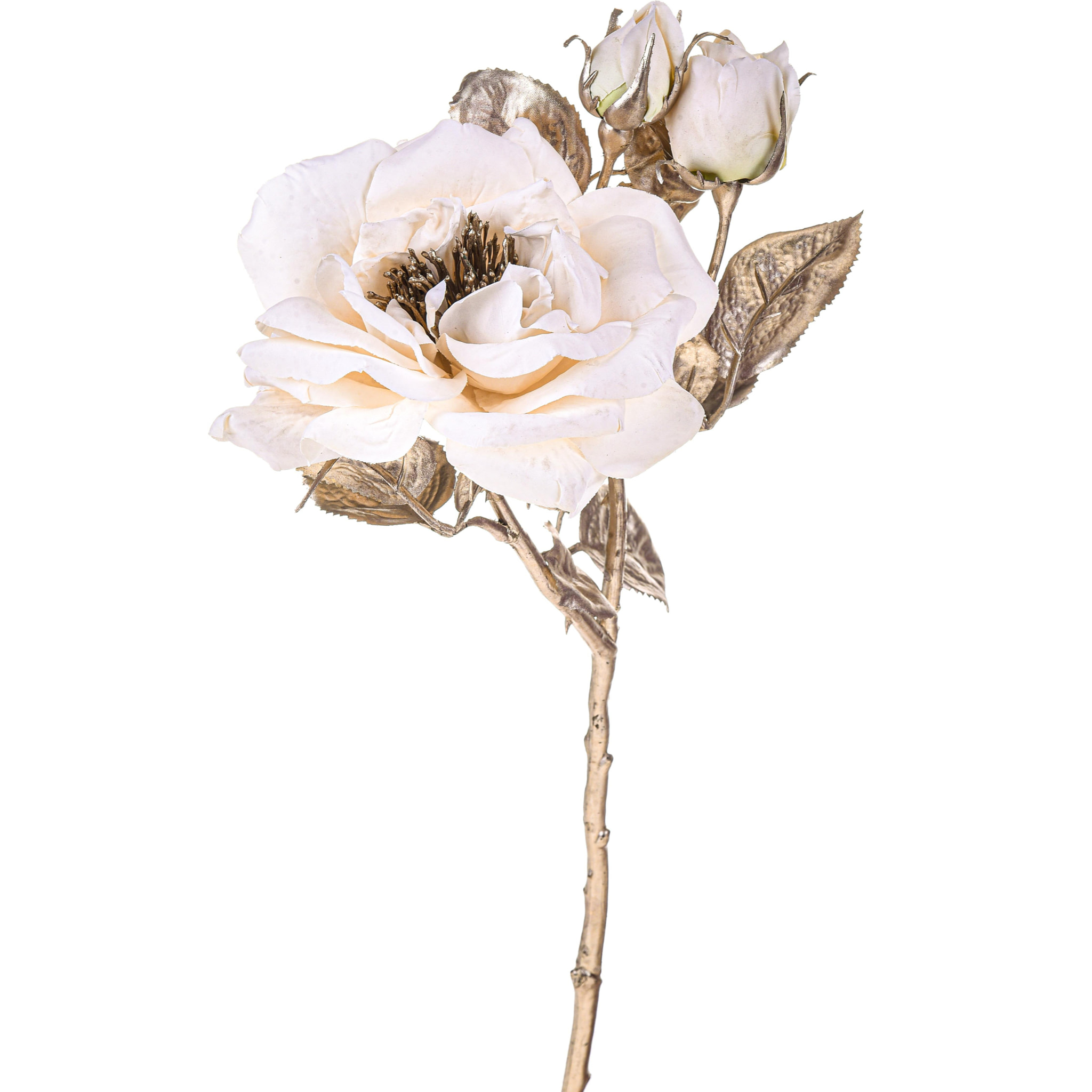 Rosa inglese - Pezzi 12 - 14xH48x12cm - Bianchi Dino SpA